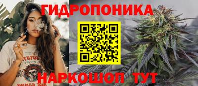 хмурый Тула