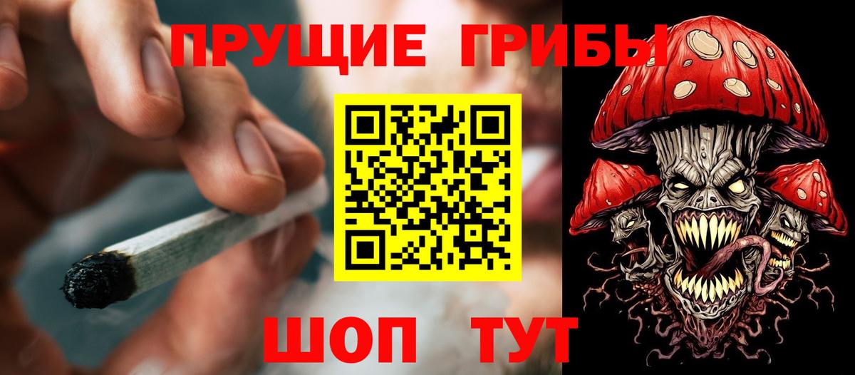 Галлюциногенные грибы Psilocybine cubensis  Вход с VPN  Псилоцибиновые грибы мухоморы  Нурлат 